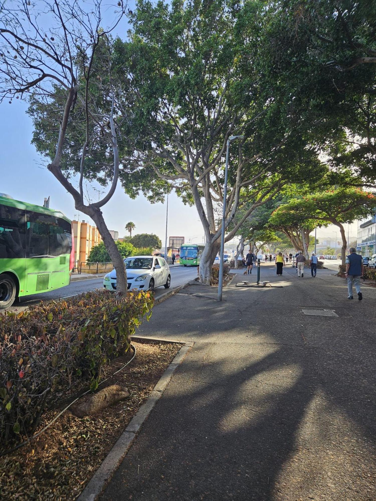 Acogedor Atico Con Terraza En San Cristobal De La Laguna מראה חיצוני תמונה